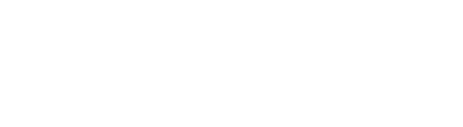 fortune tires anvelope camion si dube autoutilitare